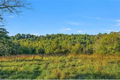 Off Ruritan Park Road, North Wilkesboro, NC 28659 - Photo 6