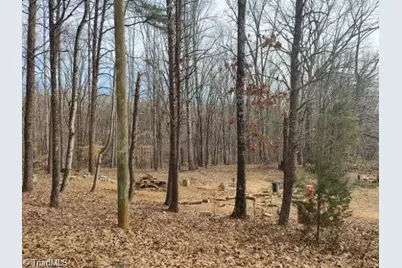 1075 Augusta Hicks Road, Walnut Cove, NC 27052 - Photo 4