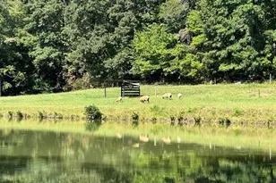 1935 Wall Loop Rd, Walnut Cove, NC 27052 - Photo 26