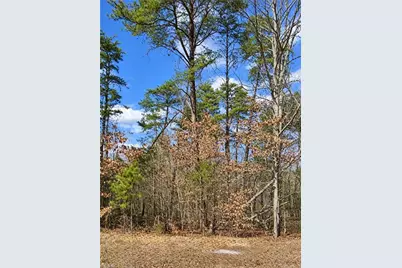 Lt 11 Lynn Smith Road, Semora, NC 27343 - Photo 2