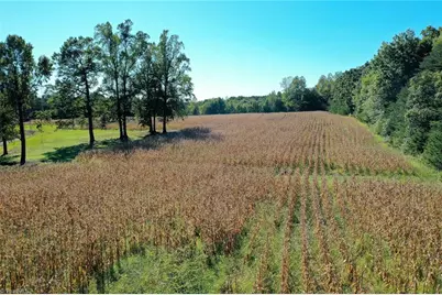 5891 Turner Smith Road, Browns Summit, NC 27214 - Photo 16