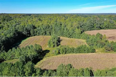 5891 Turner Smith Road, Browns Summit, NC 27214 - Photo 4