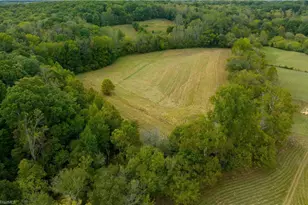 3250 Beroth Rd, Pfafftown, NC 27040 - Photo 8