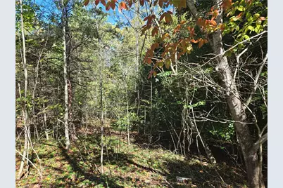 1021 Sweetbriar Lane, Hamptonville, NC 27020 - Photo 4