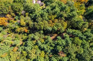 99 Lynn Ln, Glade Valley, NC 28627 - Photo 44