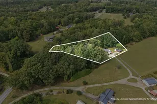 1077 Brown Farm Rd, Walnut Cove, NC 27052 - Photo 4