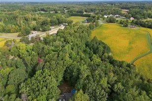 160 Forest Ridge Dr, Stokesdale, NC 27357 - Photo 32