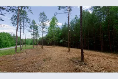 1734 Shiloh Church Road, Rural Hall, NC 27045 - Photo 1