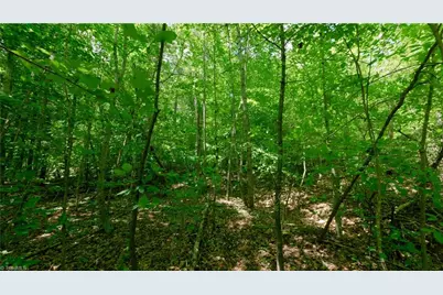 1734 Shiloh Church Road, Rural Hall, NC 27045 - Photo 10