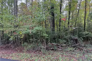 0 Kizer St, Mount Airy, NC 27030 - Photo 1