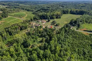 2036 Camp Springs Rd, Reidsville, NC 27320 - Photo 48