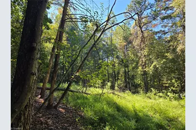 0 Cemetery Street, East Bend, NC 27018 - Photo 14