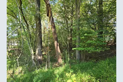 0 Cemetery Street, East Bend, NC 27018 - Photo 12
