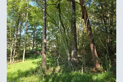 0 Cemetery Street, East Bend, NC 27018 - Photo 18