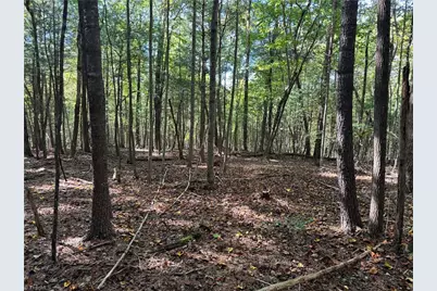 00 One Mile Road, Traphill, NC 28635 - Photo 22