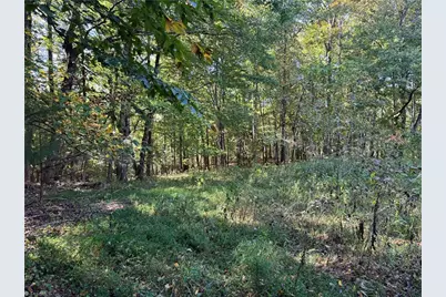 00 One Mile Road, Traphill, NC 28635 - Photo 8