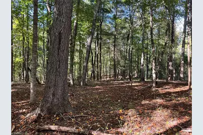 00 One Mile Road, Traphill, NC 28635 - Photo 2