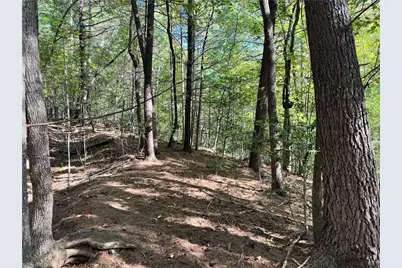 00 One Mile Road, Traphill, NC 28635 - Photo 18