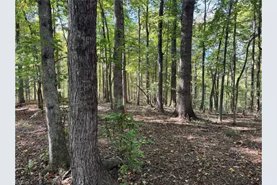 00 One Mile Road, Traphill, NC 28635 - Photo 14