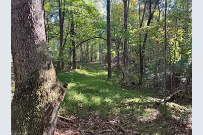 00 One Mile Road, Traphill, NC 28635 - Photo 20