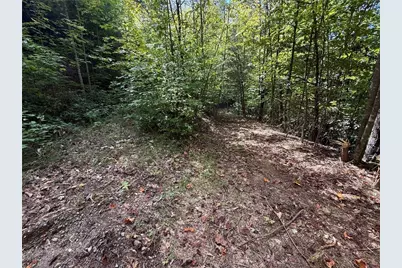 Tbd Casey Mountain Road, Purlear, NC 28665 - Photo 12