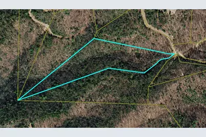 Tbd Casey Mountain Road, Purlear, NC 28665 - Photo 4