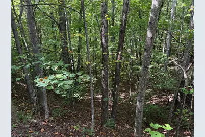 Tbd Casey Mountain Road, Purlear, NC 28665 - Photo 22