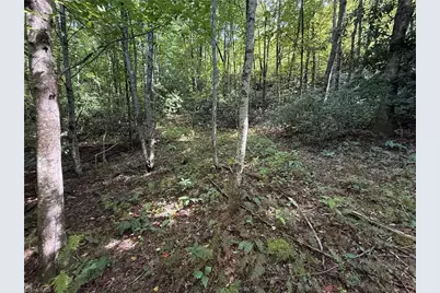 Tbd Casey Mountain Road, Purlear, NC 28665 - Photo 20