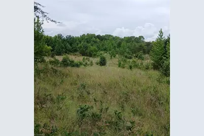 1133 Springfield Road, High Point, NC 27263 - Photo 2