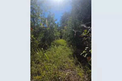 00 Power Dam Road, Walnut Cove, NC 27052 - Photo 8