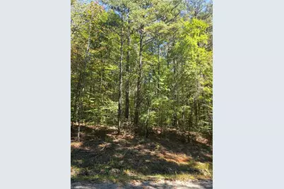 00 Power Dam Road, Walnut Cove, NC 27052 - Photo 1