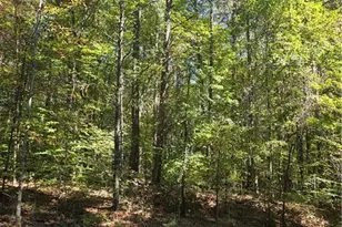 00 Power Dam Rd, Walnut Cove, NC 27052 - Photo 1