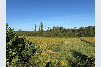 Lot 2 Eldora Road, Ararat, NC 27007 - Photo 4