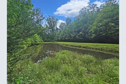 13641 Traphill Road, Traphill, NC 28685 - Photo 34
