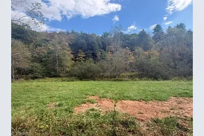 Tbd Caseys Branch Road, Purlear, NC 28665 - Photo 8