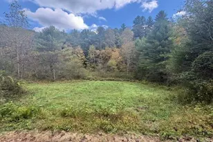 Tbd Caseys Branch Rd, Purlear, NC 28665 - Photo 1