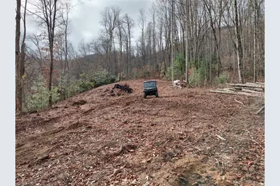 1629 White Rock Road, Cullowhee, NC 28723 - Photo 8