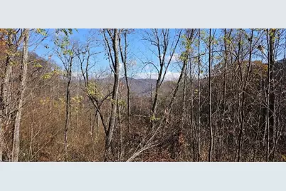 1629 White Rock Road, Cullowhee, NC 28723 - Photo 12