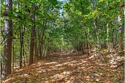 2347 Clacie Lane, Liberty, NC 27298 - Photo 8