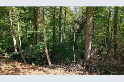Tbd Woodland Drive, Elkin, NC 28621 - Photo 8