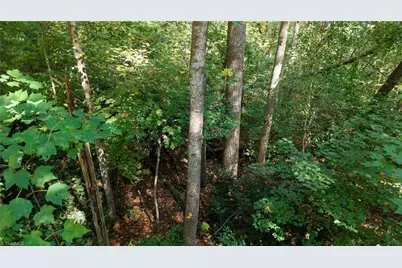 Tbd Woodland Drive, Elkin, NC 28621 - Photo 12