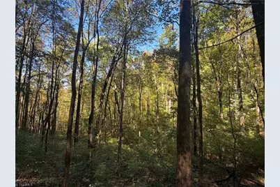 Tbd Vannoy Ridge Road, Moravian Falls, NC 28654 - Photo 34