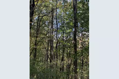 Tbd Vannoy Ridge Road, Moravian Falls, NC 28654 - Photo 32