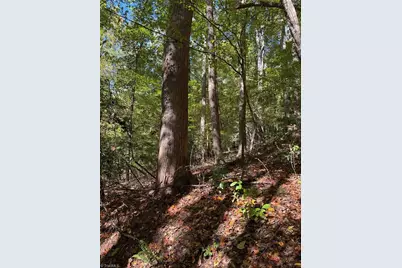 Tbd Vannoy Ridge Road, Moravian Falls, NC 28654 - Photo 10