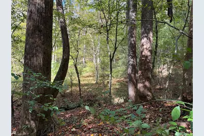Tbd Vannoy Ridge Road, Moravian Falls, NC 28654 - Photo 12