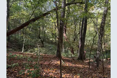 Tbd Vannoy Ridge Road, Moravian Falls, NC 28654 - Photo 24