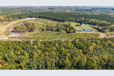 2025 Gravel Hill Road, Ruffin, NC 27326 - Photo 4