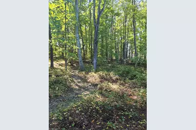 1225 Perch Road, Pinnacle, NC 27043 - Photo 2