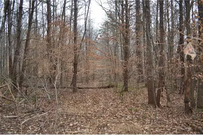 17 Acres Davie Lane, Madison, NC 27025 - Photo 16