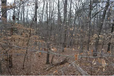 17 Acres Davie Lane, Madison, NC 27025 - Photo 22